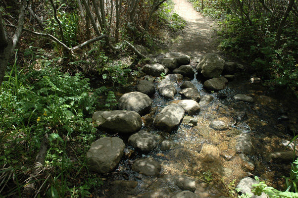 Soberanes Canyon 049.jpg